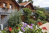 Bayerischer Wald und Donau: Ausflugstipps ab Hotel Pürgl