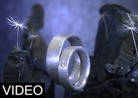 Ringkollektionen aus Elfenmetall in 360° Ansicht
