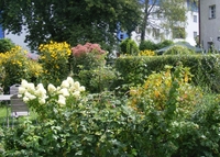 Offene Gärten - Empfehlung für Kunst- und Naturliebhaber