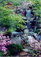 Anderson Japanese Gardens in Rockford: Japanische Gartenkultur vom Feinsten