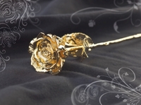 Bleibende Liebe: Goldene Rose zum Muttertag