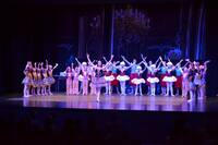 Das Tanzwerk Ladenburg präsentierte am 6. Juli 2014 das Ballett-Theater "Im Puppenladen" sowie "Tanzimpressionen"