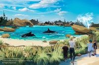 SeaWorld mit neuer Lebenswelt für Killerwale und zehn Millionen US-Dollar für Forschung