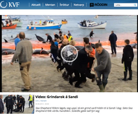 14 Tierschutzaktivisten auf den Färöer-Inseln verhaftet  WDSF stellt Strafanzeige gegen Polizei