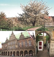 Kurs Nord: Landidylle, Blüte, Radelspaß