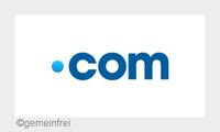 Com-Domain: Wie alles anfing...