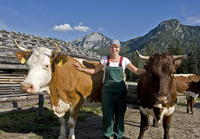 Molkerei Berchtesgadener Land geht Sonderweg bei Milchpreis