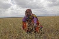 Äthiopien: Über 10 Millionen Menschen von Hunger bedroht