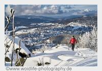 Natur pur - Wintersport in Bodenmais