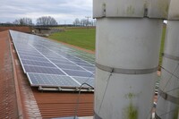 Geflügelhaltung gefährdet Photovoltaik-Gewinne