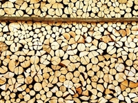 Ein Haufen Holz: Factoring für die Holzindustrie