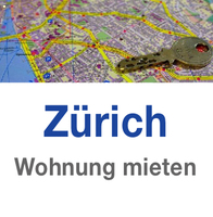Minutenschnell zur Wohnungs-Lösung bei Umzug (Relocation) nach Zürich