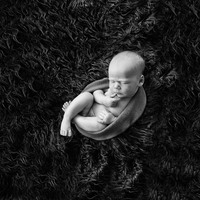 Baby Fotoshootings beim Spezialisten für Familienfotografie