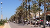 Die Playa de Palma hat sich verändert