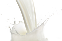 Milchmarkt 2016: Molkereien und Erzeuger gefordert