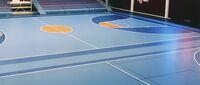 Gerflor Taraflex Sportboden bei Olympia und bodenprofi.de