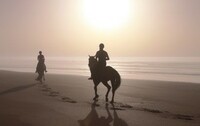 Die Magie der arabischen Pferde