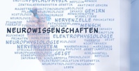 Moderne Behandlung von Hirntumoren in der Region Köln / Bonn
