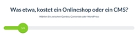 Was etwa, kostet ein Onlineshop oder ein CMS?