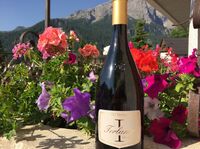 Südtiroler Wein genießen