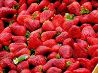 Erdbeeren aus dem Ofen