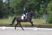 Junge Talente starten im NÜRNBERGER BURG-POKAL der Baden-Württembergischen Junioren zum Finale in Donaueschingen
