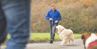 Der Wolf im "Hundepelz"