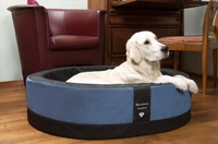 Der Hundekorb Paddy Style - dekorativ und XXL-bequem