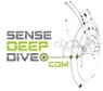 QlikDevGroup and Sense Deep Dive Announce "Guru Day" for Qlik Experts