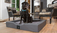 Orthopädische XXL Hundebetten