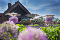 The Cottage: Public Viewing der royalen Hochzeit von Prinz Harry und Meghan Markle am 19. Mai ab 10.30 Uhr