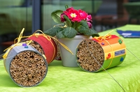 Insektenschutzlotterie, Bienenhotel & E-Autos