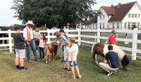 Ferienkinder besuchen Aiderbichl-Ponys auf der Ballermann Ranch