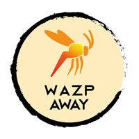 WaZp-away: Die Sommer-App 2021