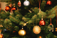 Weihnachtsbaum mieten - Verbraucherinformation der ERGO Group