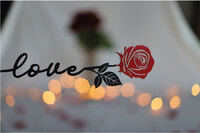 STEELMONKS verschenkt 2.500 Rosen aus Metall