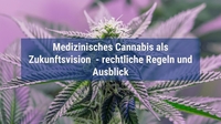 Medizinisches Cannabis als Zukunftsvision  - rechtliche Regeln und Ausblick