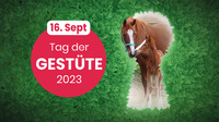 Tag der Gestüte auch mim Rhein-Main-Gebiet - kostenlose Info-Veranstaltung