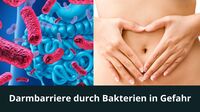 Darmbarriere durch Bakterien in Gefahr