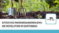 Effektive Mikroorganismen (EM): Die Revolution im Gartenbau