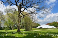 KNISTERN auf Hofgut Neuhof: Festival für Film, Feuer & Zukunft