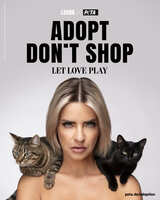 Sexy Hingucker mit ernster Message - Berliner DJane LOVRA zeigt für ihr PETA-Motiv Krallen: "Adoptieren, nicht kaufen!"