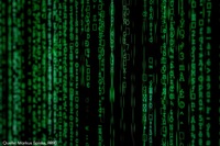 Cyberangriffe: Wie gut sind private Daten geschützt?