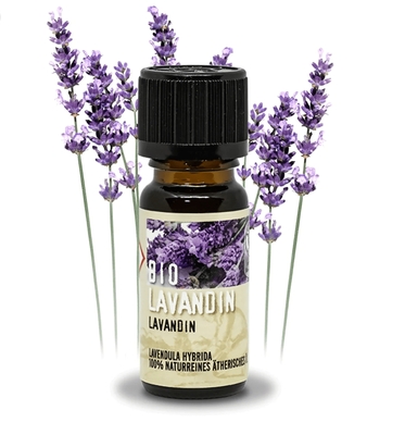 Lavendelöl kaufen: ätherisches Lavandin für Entspannung